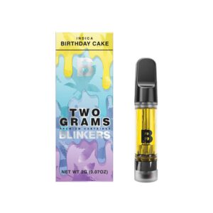 BIRTHDAY CAKE INDICA